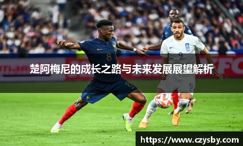 mk体育官网入口